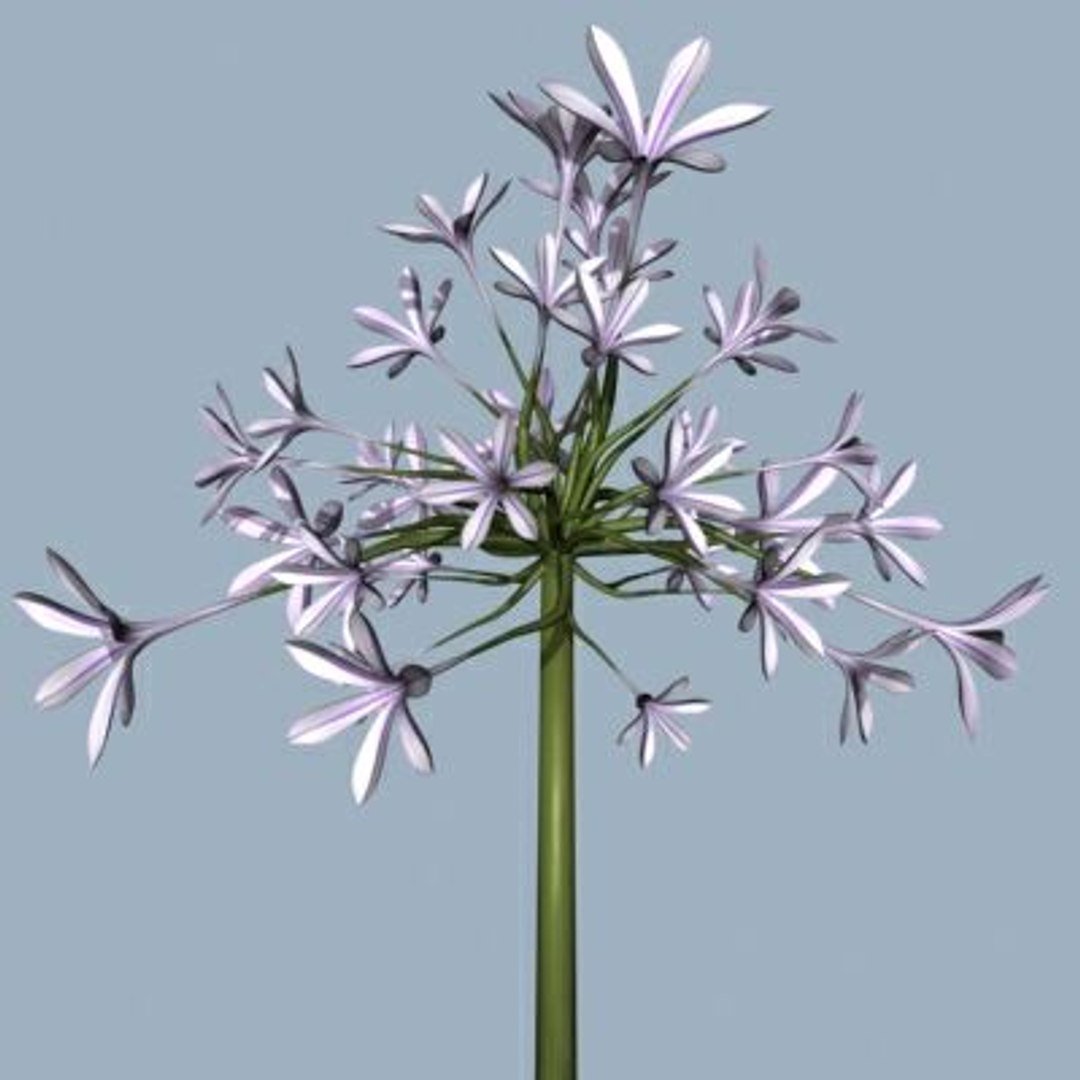 Realistic Flower Animation Open 3d 3ds