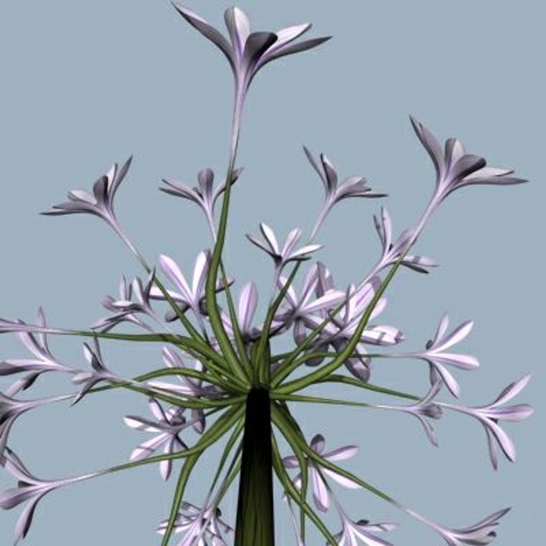 Realistic Flower Animation Open 3d 3ds