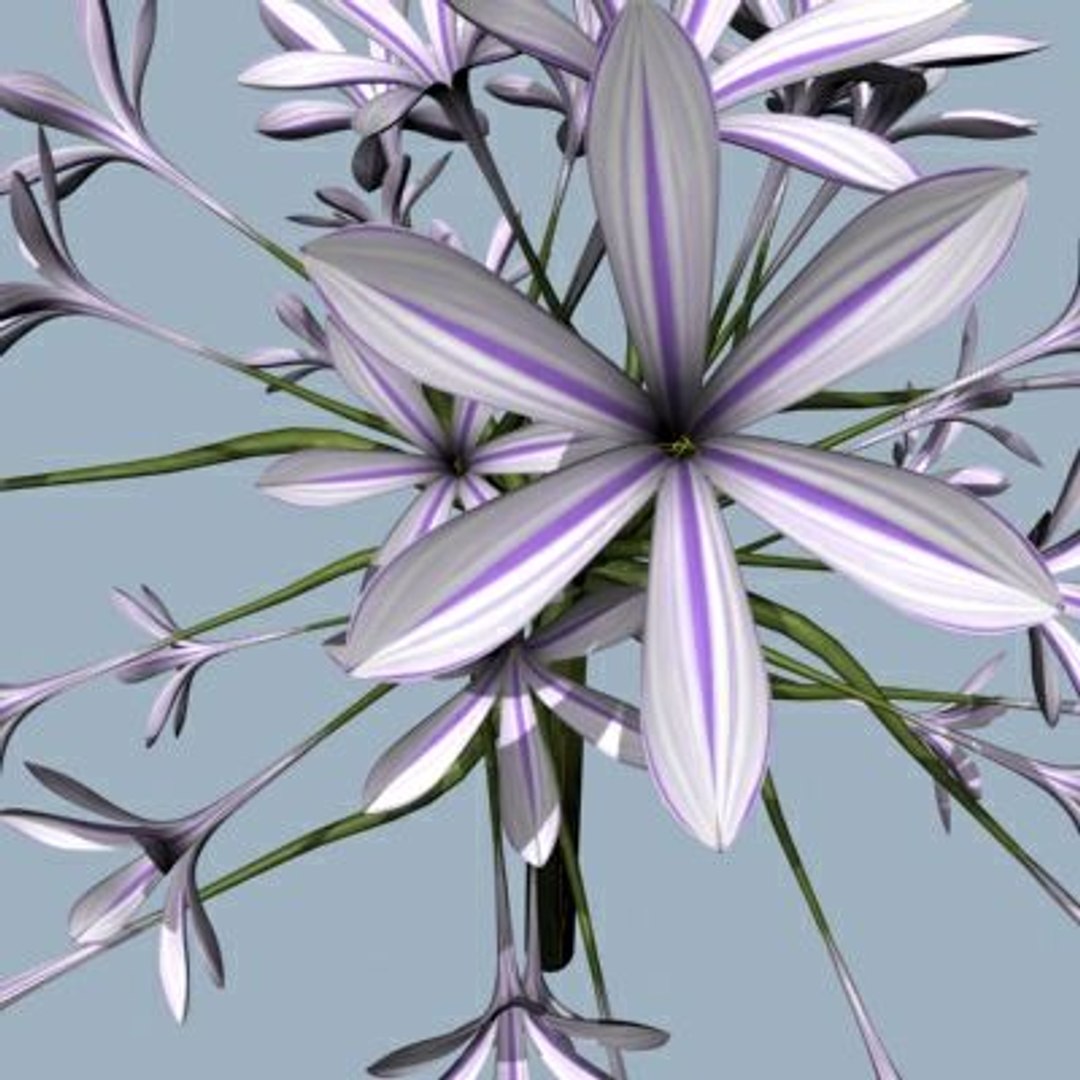 Realistic Flower Animation Open 3d 3ds
