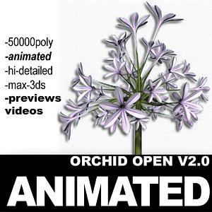 realistic flower animation open 3d 3ds
