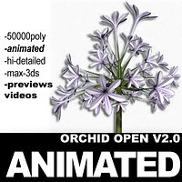 Orchid Open 2