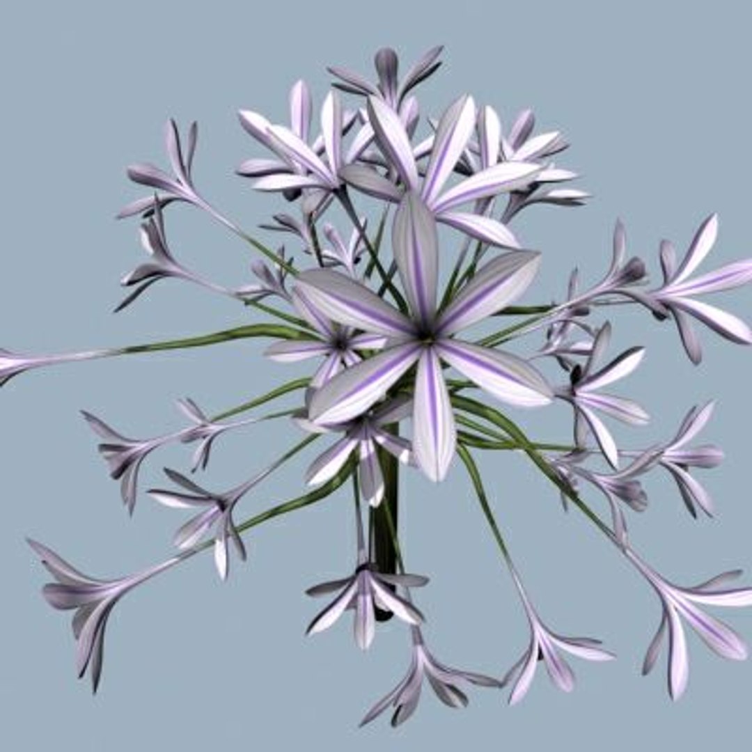 Realistic Flower Animation Open 3d 3ds