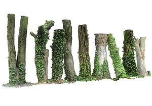 Ivy Trees Pack 9 3D model