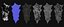 Dragonborn Shield