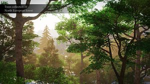 3D Trees collection 01 - North European forest model