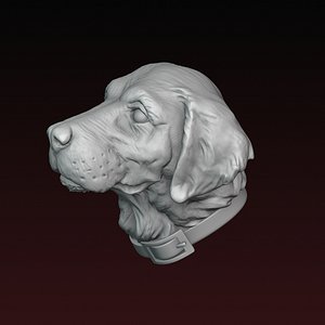 3D Dog head model