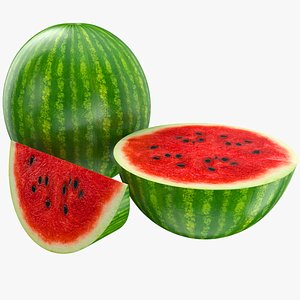 watermelon fruit model