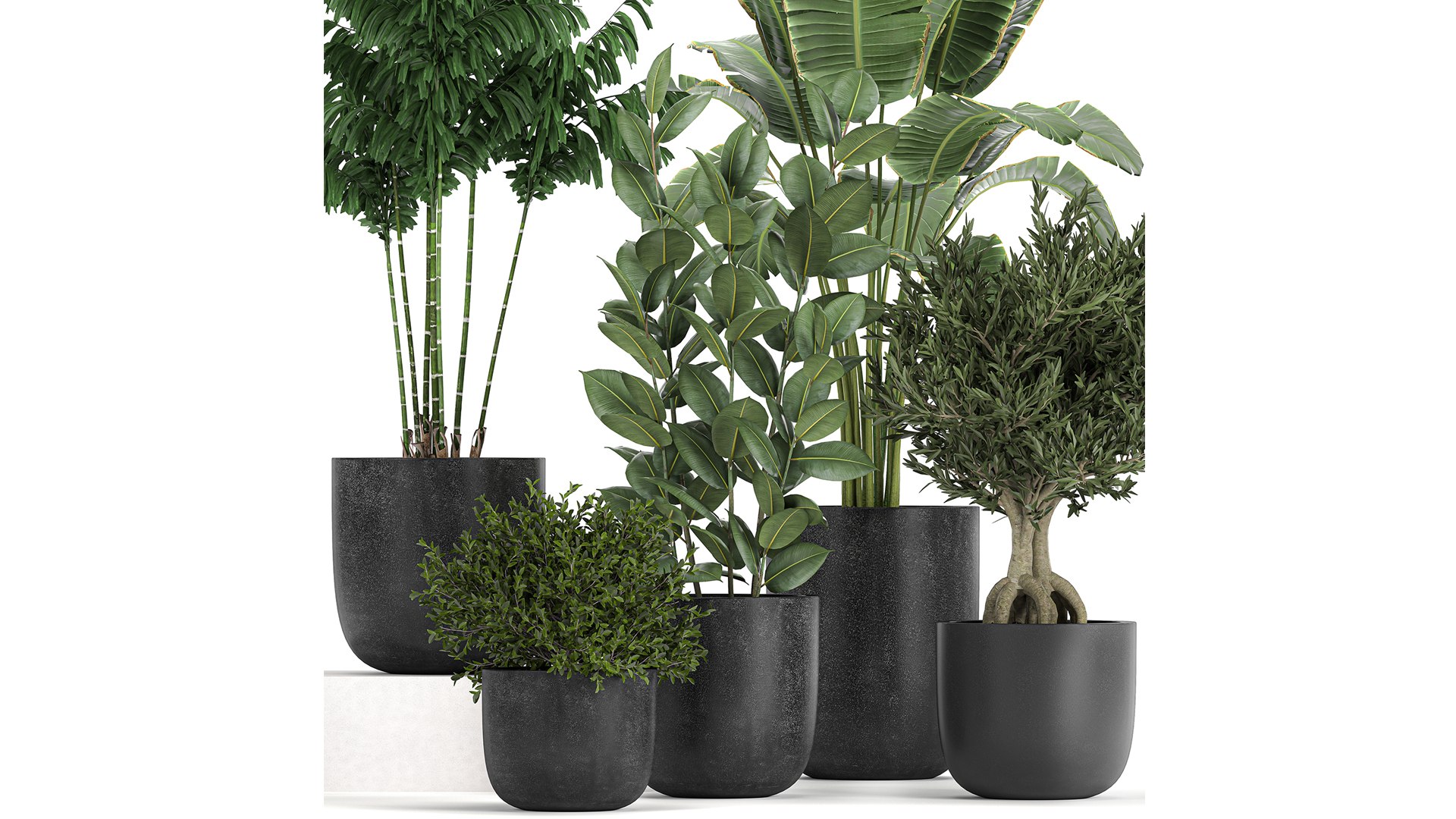 3D model plants decorative pot https://p.turbosquid.com/ts-thumb/rS/oTI0D3/Aw/1plants1601202101/jpg/1611046334/1920x1080/fit_q87/eceffc1fad9fec25383067accc0a744c1576b982/1plants1601202101.jpg