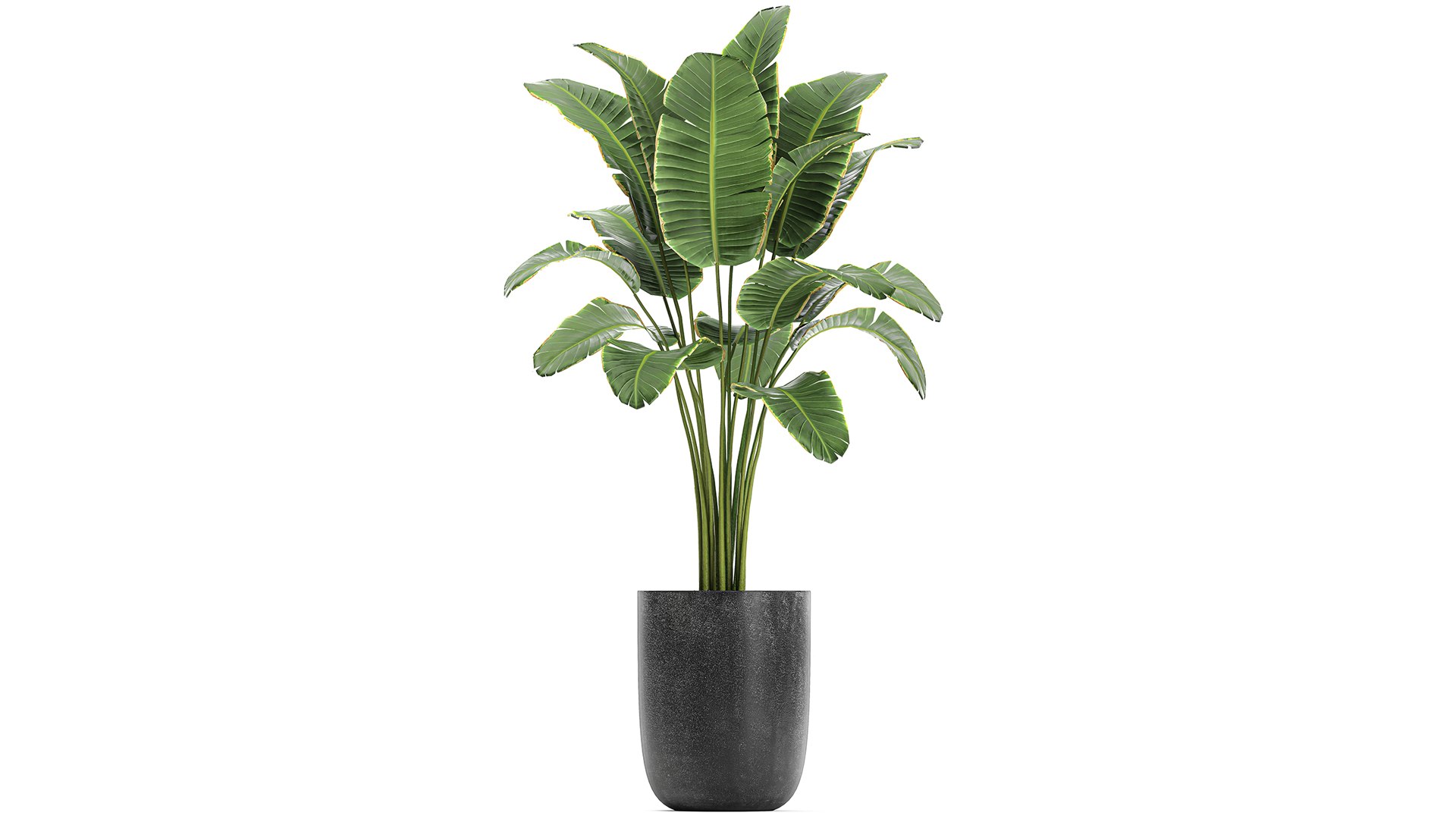 3D model plants decorative pot https://p.turbosquid.com/ts-thumb/rS/oTI0D3/Ds/1plants1601202106/jpg/1611046340/1920x1080/fit_q87/f1cc462fd812042d89e08f37f009a91addec5fd1/1plants1601202106.jpg