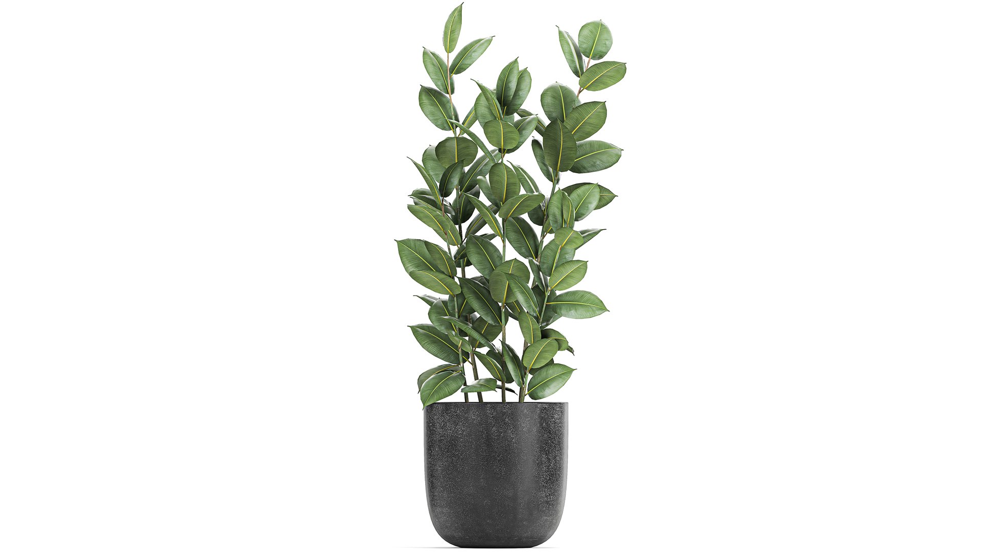 3D model plants decorative pot https://p.turbosquid.com/ts-thumb/rS/oTI0D3/bc/1plants1601202105/jpg/1611046340/1920x1080/fit_q87/99be03e86701d634e071e2fb84eb1029e56bbc96/1plants1601202105.jpg