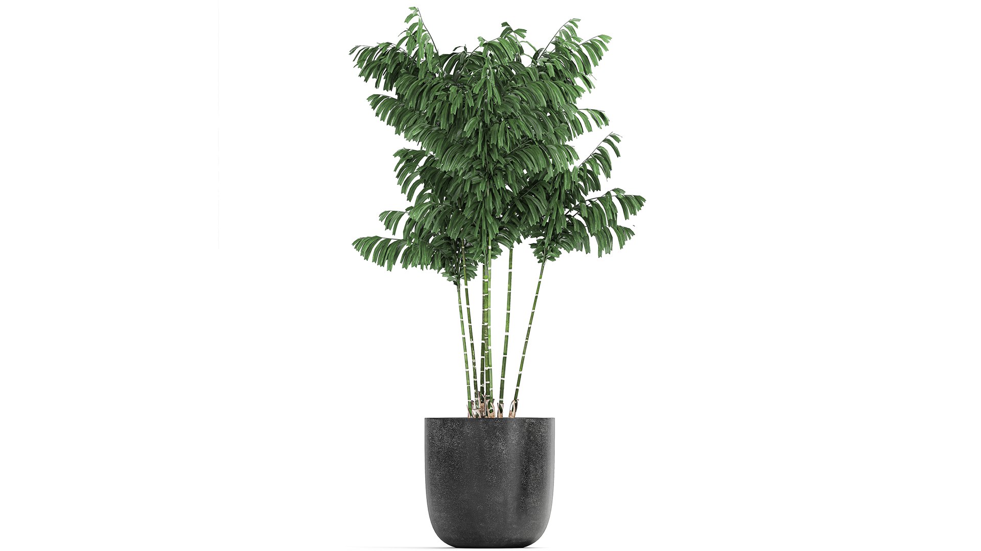 3D model plants decorative pot https://p.turbosquid.com/ts-thumb/rS/oTI0D3/hL/1plants1601202103/jpg/1611046336/1920x1080/fit_q87/1770e7135b311cf2436d3b0cd439d5ed9da042fd/1plants1601202103.jpg