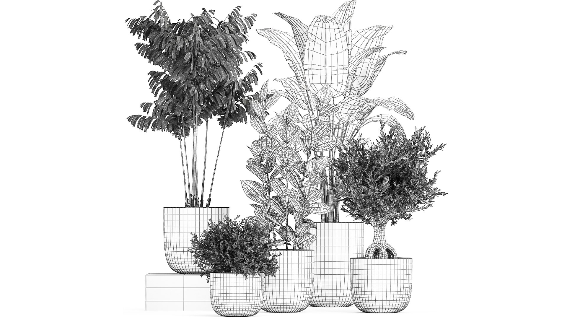 3D model plants decorative pot https://p.turbosquid.com/ts-thumb/rS/oTI0D3/jm/1plants1601202109/jpg/1611046343/1920x1080/fit_q87/3070a408c2ac6986acc22fcda80fe8fc11493126/1plants1601202109.jpg