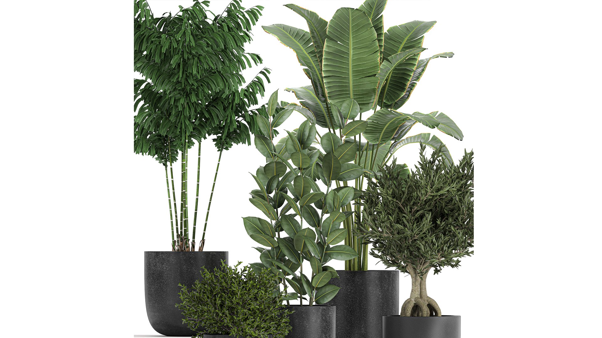 3D model plants decorative pot https://p.turbosquid.com/ts-thumb/rS/oTI0D3/qR/1plants1601202102/jpg/1611046344/1920x1080/fit_q87/25f80193bf9df24e79ccb50e4a5f411dd915fab1/1plants1601202102.jpg