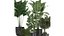 Colección de plantas decorativas en macetas 808