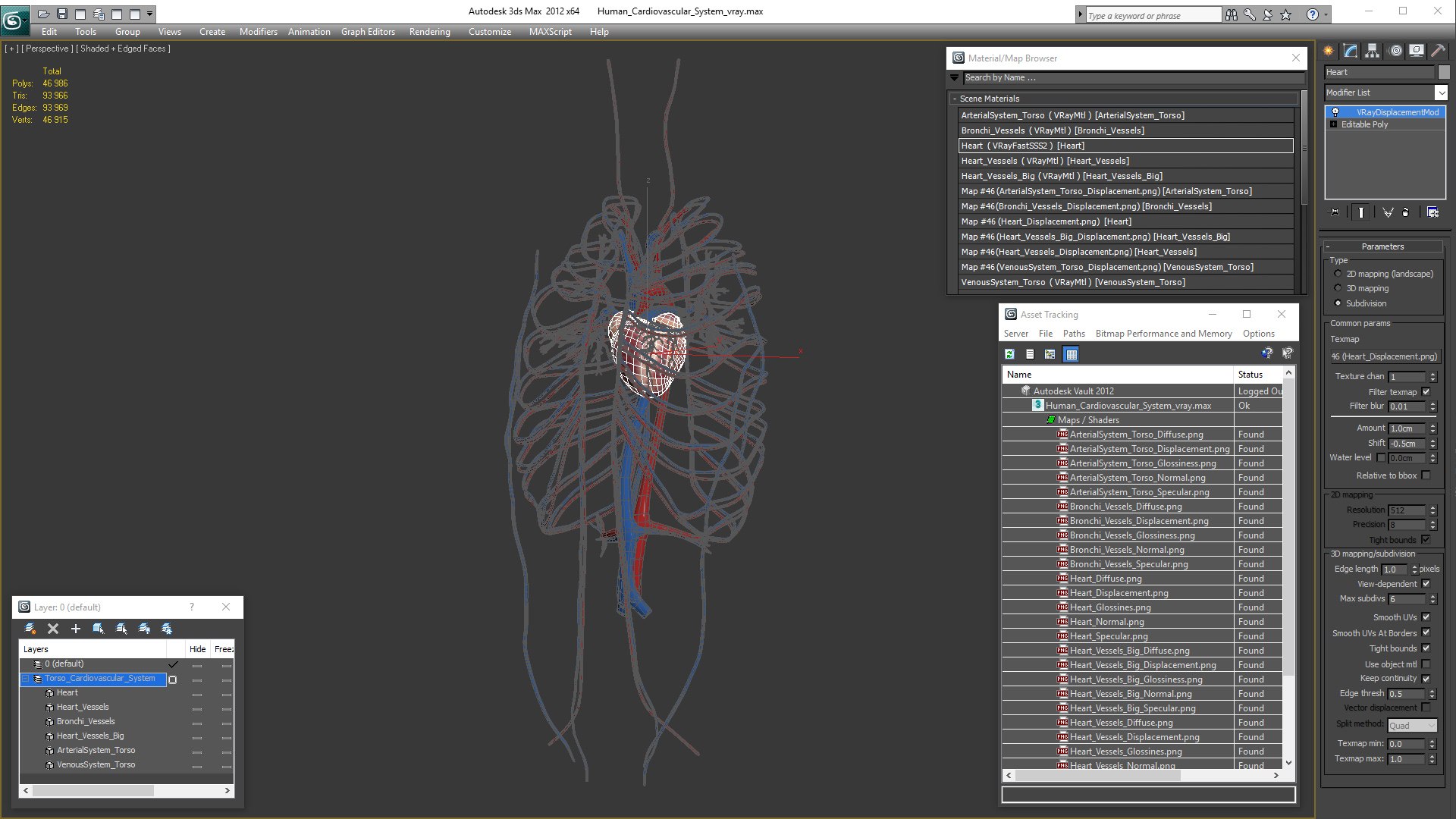 Human cardiovascular vascular model - TurboSquid 1467045