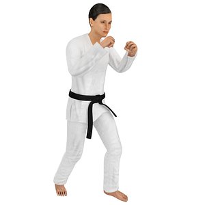 rigged karate model