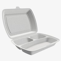 Take-out lunch polystyrene box 02