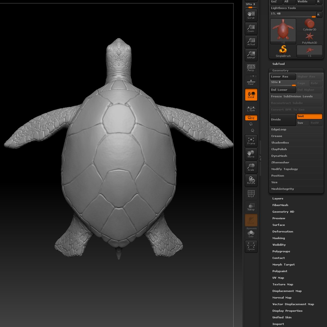Sea Turtle 3d Obj