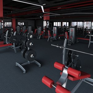 3D big fitness gym model