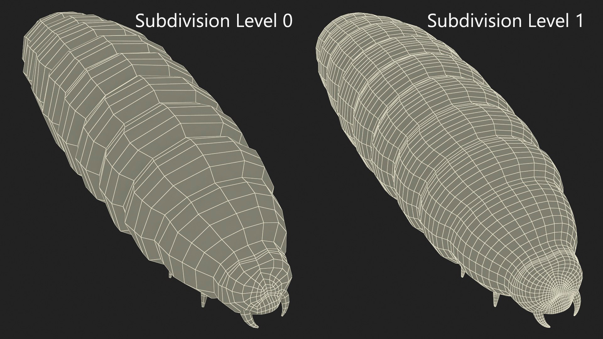 Maggot Fly 3D https://p.turbosquid.com/ts-thumb/rT/dO4Keq/2k/maggotfly3dsmodel019/jpg/1702399063/1920x1080/fit_q87/eac6c2827d85149e5e0bb936db2dd6de75ddaf3d/maggotfly3dsmodel019.jpg
