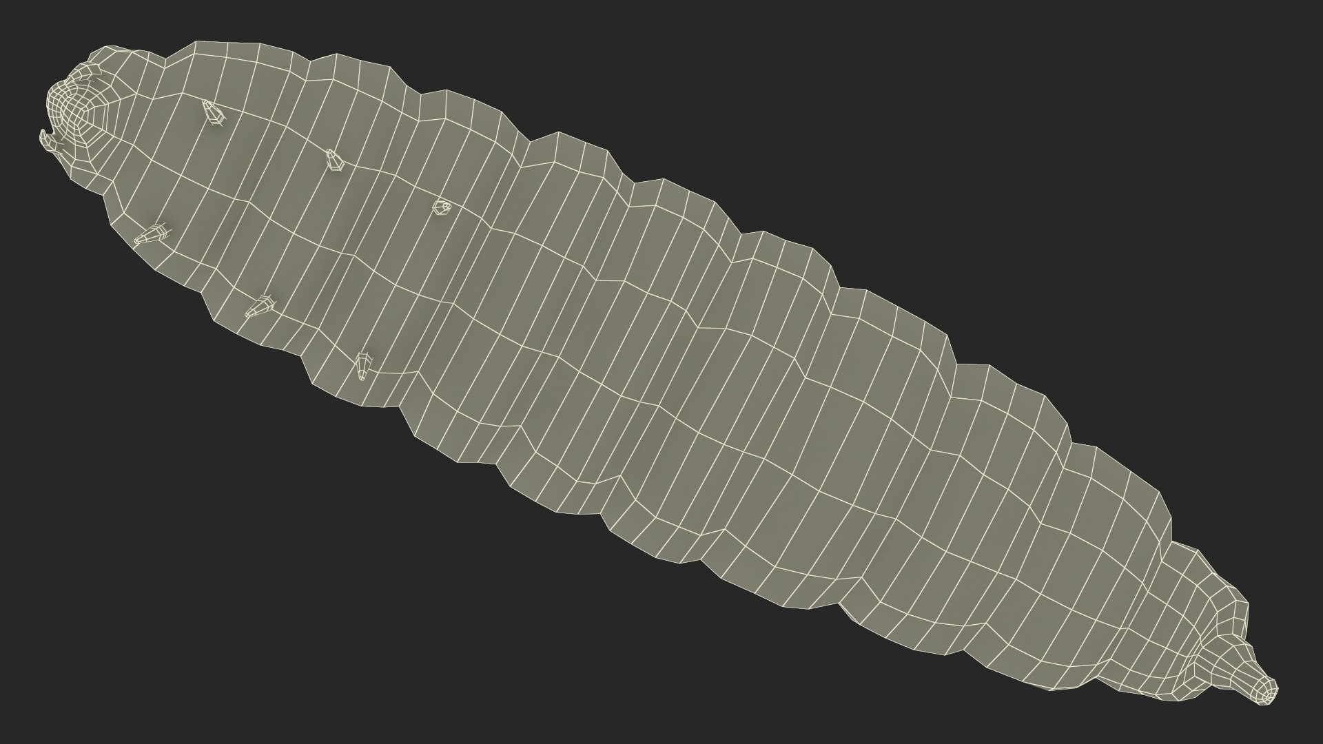 Maggot Fly 3D https://p.turbosquid.com/ts-thumb/rT/dO4Keq/31/maggot_fly_021/jpg/1702461798/1920x1080/fit_q87/a0b5141b082443199d8fa8b5fbe3b2dbbd8458c8/maggot_fly_021.jpg