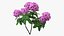 3D Purple Flowering Plants Collection 3