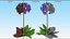 3D Purple Flowering Plants Collection 3