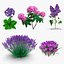 3D Purple Flowering Plants Collection 3