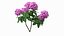 3D Purple Flowering Plants Collection 3