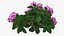 3D Purple Flowering Plants Collection 3