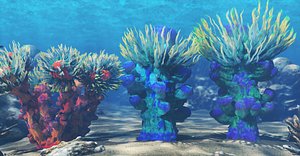 3D Coral Reef Marine Life model
