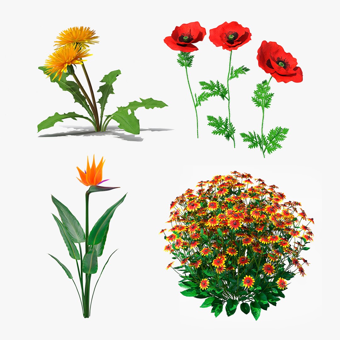 Flowering Plants Collection 2 3D model preview