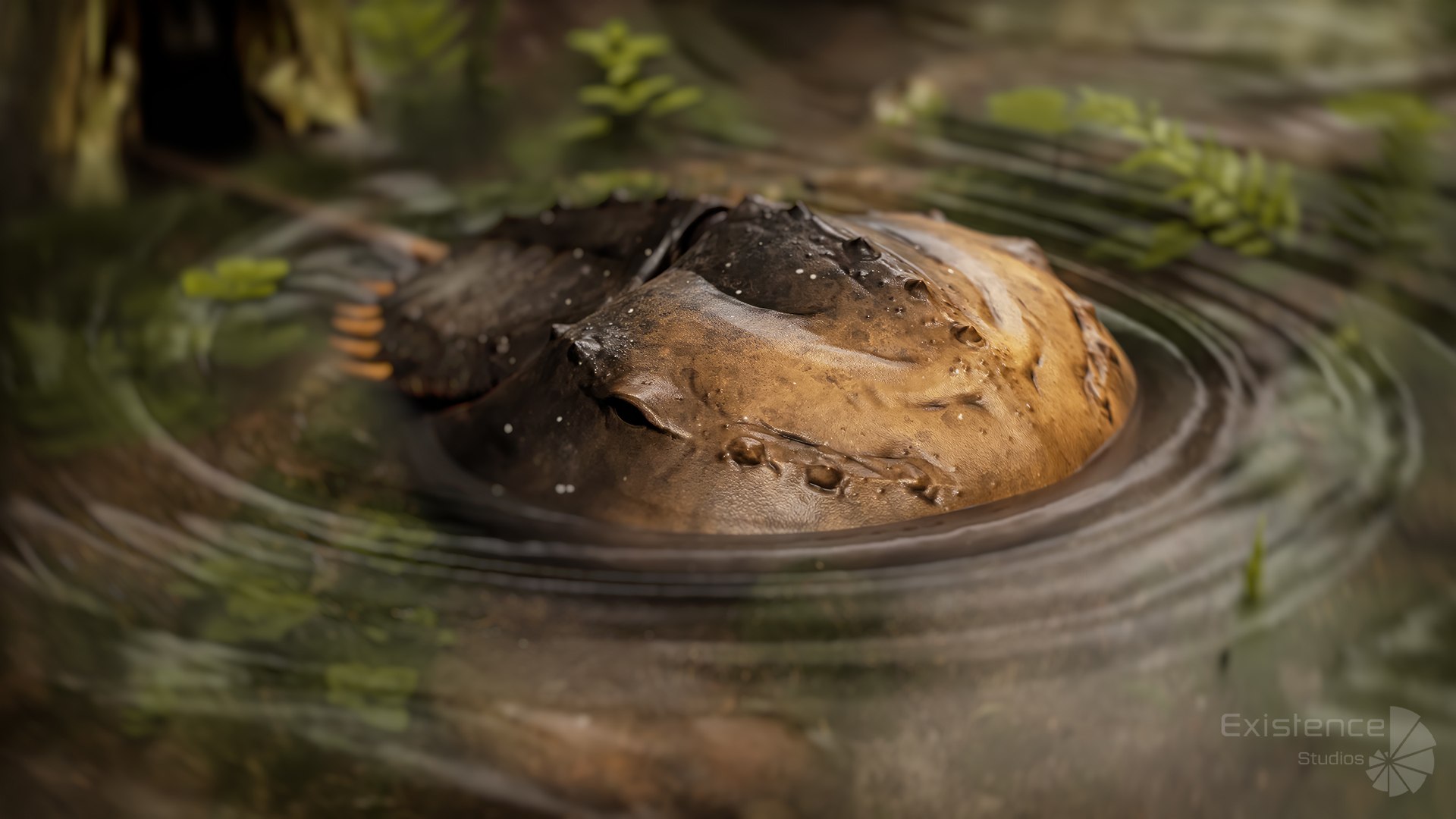 Horseshoe Crab Trilobite Realistic 3D Model Monster Underwater Creature 24 3D model