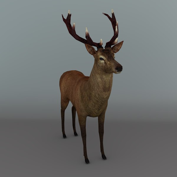 red deer stag 3d 3ds