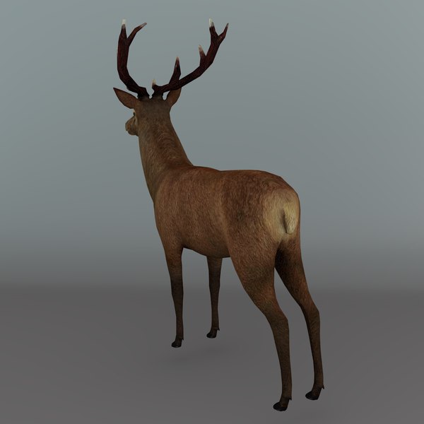 red deer stag 3d 3ds