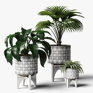 plants set 07 3D