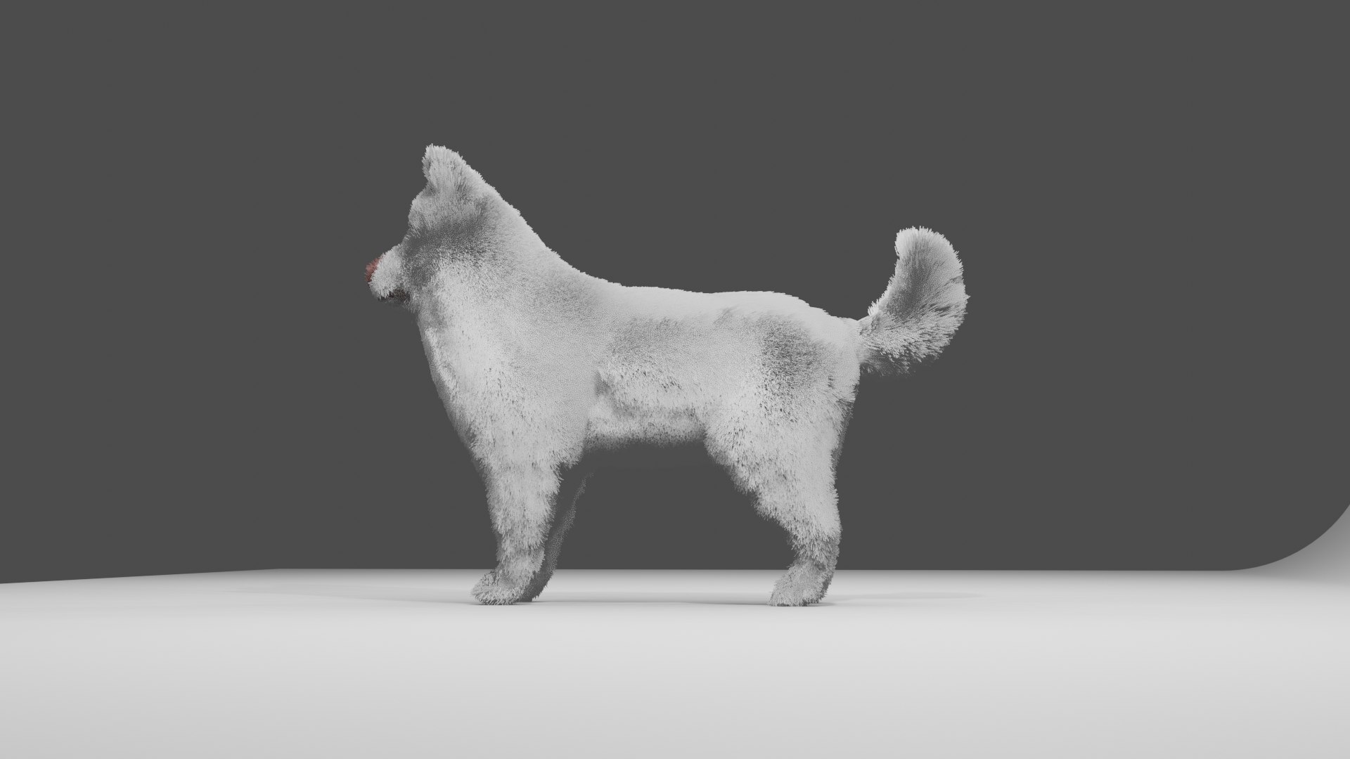 Dog 3D Model - TurboSquid 2221210