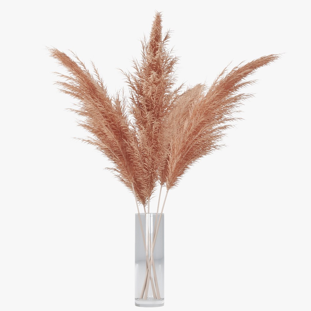 3D pampas grass https://p.turbosquid.com/ts-thumb/rT/w2qJAP/3RmiECMe/pr_09/jpg/1568391309/1920x1080/fit_q87/faeb59d4ff7a6226d29618a8277d1ec4677c4d39/pr_09.jpg