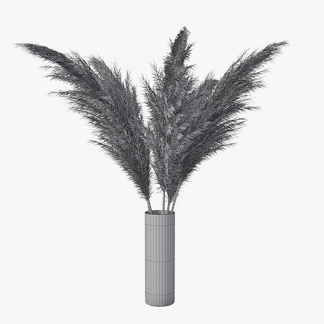 3D pampas grass https://p.turbosquid.com/ts-thumb/rT/w2qJAP/ALqqL4Tn/pr_01xw/jpg/1568391309/1920x1080/fit_q87/33717ee917e90ededf6a76adb02e38ed76fa4f19/pr_01xw.jpg
