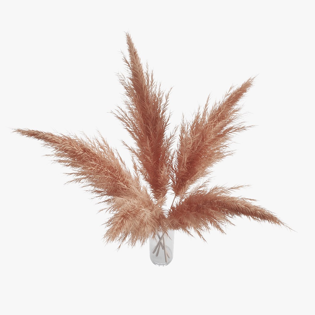 3D pampas grass https://p.turbosquid.com/ts-thumb/rT/w2qJAP/CiAEXgkb/pr_04/jpg/1568391309/1920x1080/fit_q87/5d82b93993905a23f506e9847427a1cb9f2b0f25/pr_04.jpg
