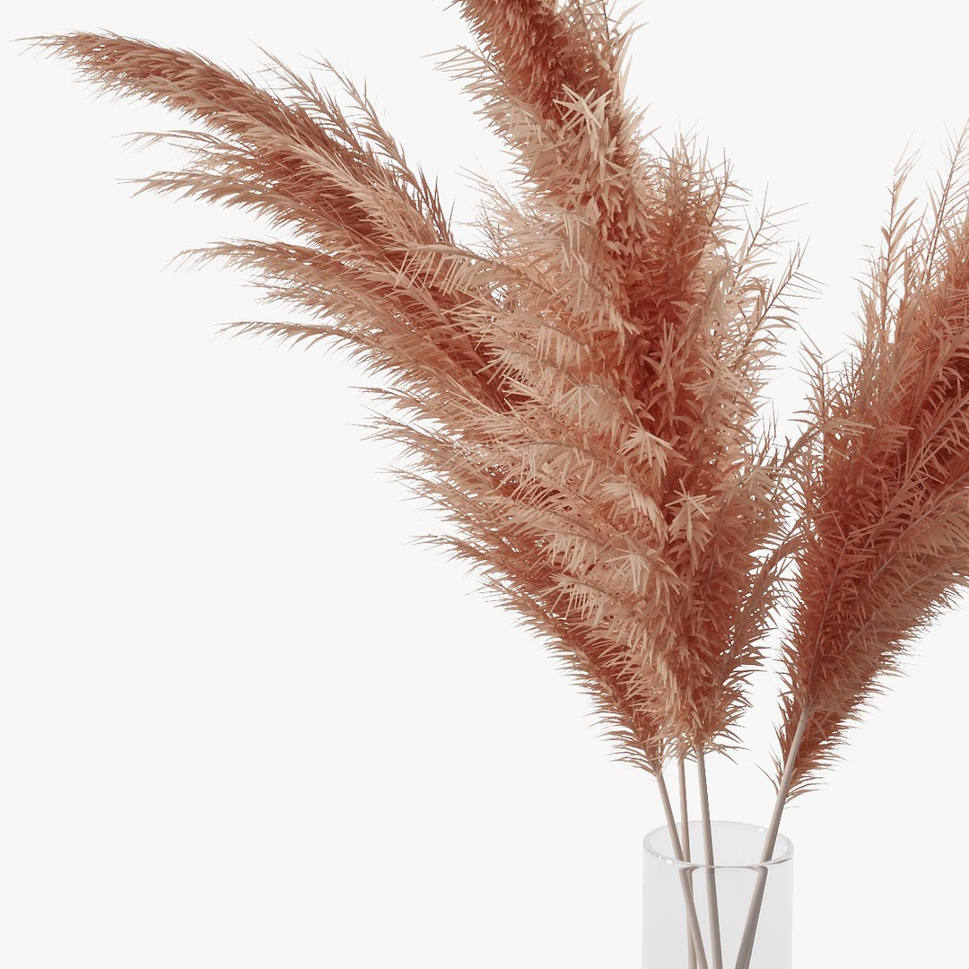 3D pampas grass https://p.turbosquid.com/ts-thumb/rT/w2qJAP/KIGivCQ8/pr_10/jpg/1568391309/1920x1080/fit_q87/f2fb09202da9a418dd28f6a91704b2d8c942fe8d/pr_10.jpg