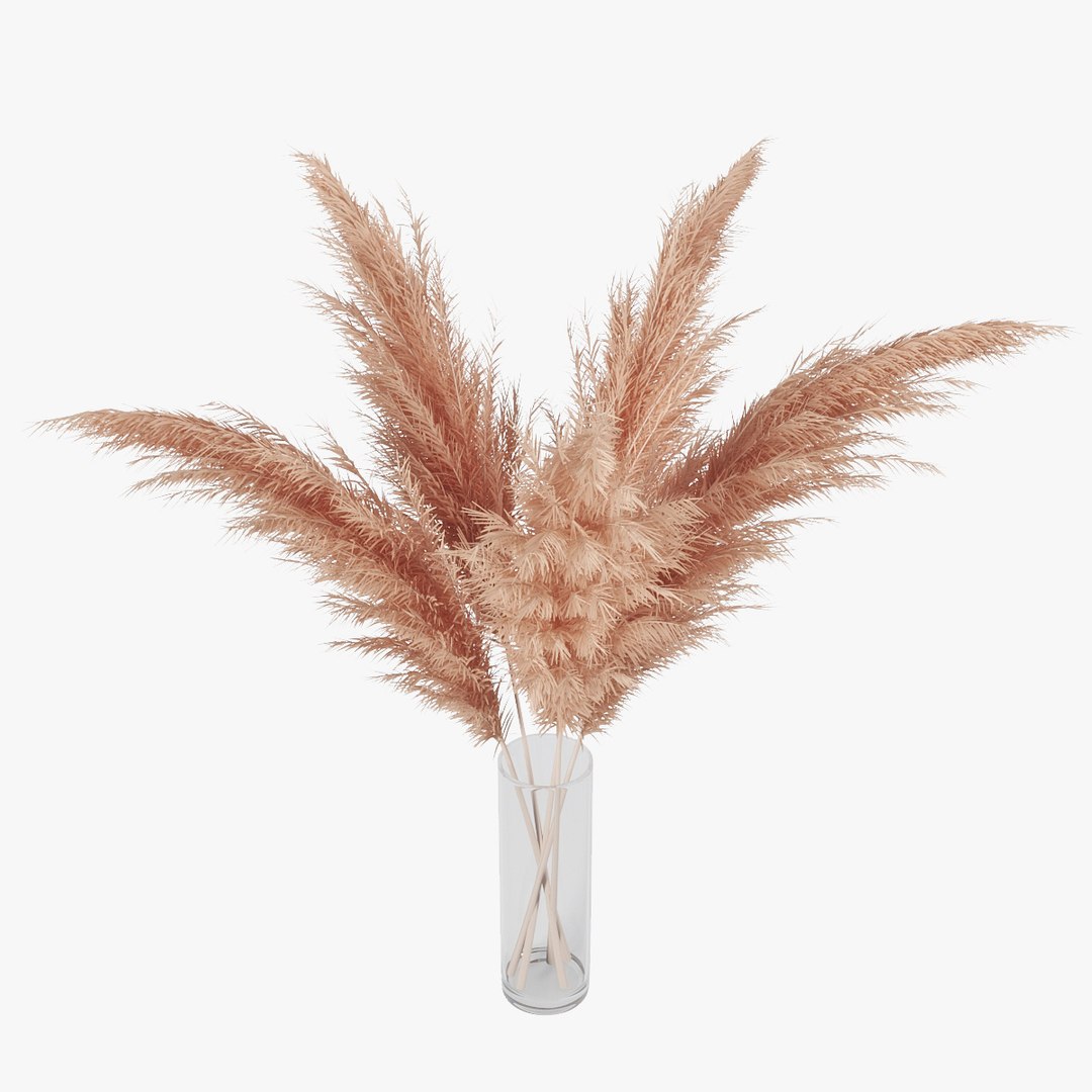 3D pampas grass https://p.turbosquid.com/ts-thumb/rT/w2qJAP/N68LYYvK/pr_07/jpg/1568391309/1920x1080/fit_q87/52999a7e420c39860068f87e0dcb4ce73acfc2d3/pr_07.jpg