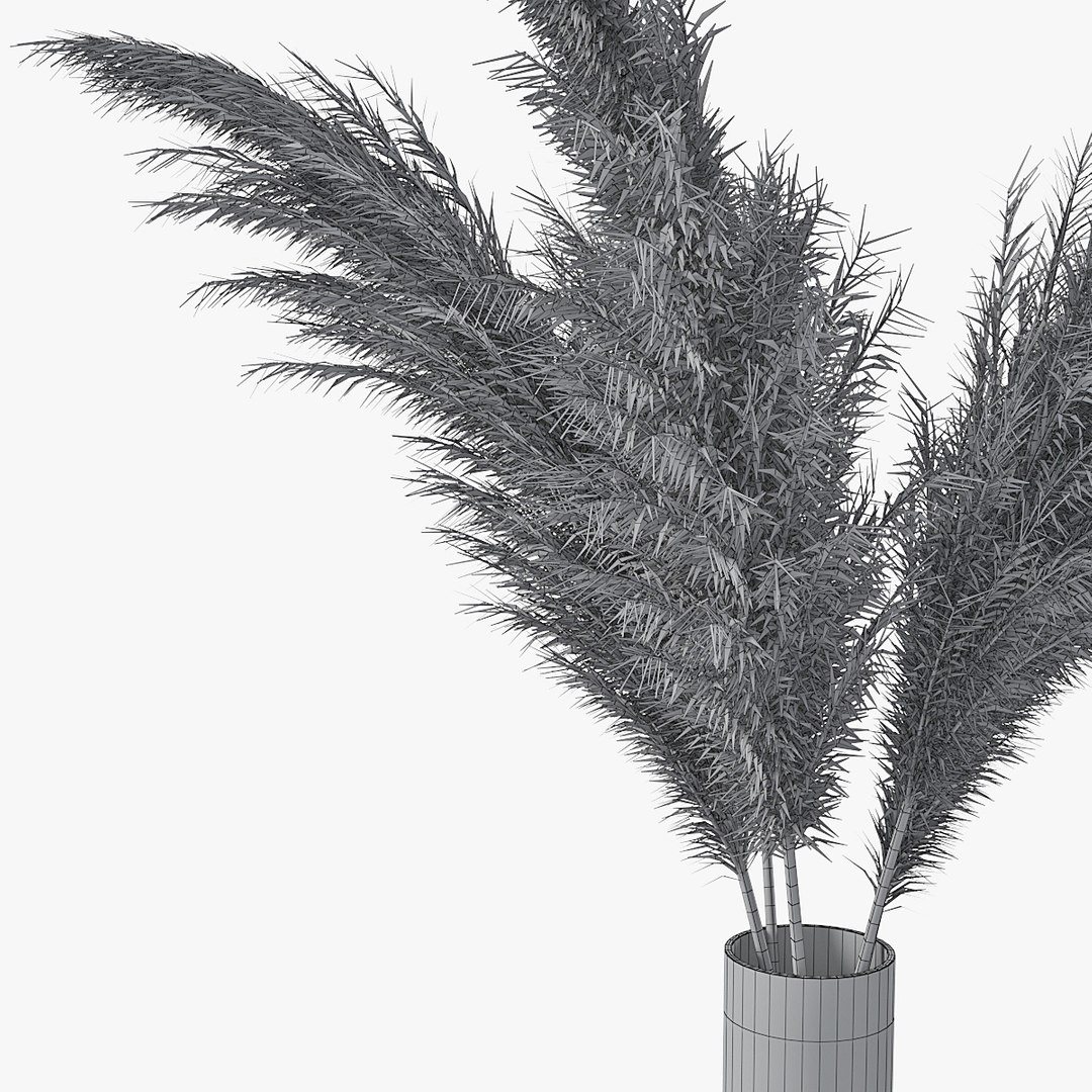 3D pampas grass https://p.turbosquid.com/ts-thumb/rT/w2qJAP/OkUVG1qm/pr_10xw/jpg/1568391309/1920x1080/fit_q87/e5bc04570e6e345f6defe2723f4576a2b7106981/pr_10xw.jpg