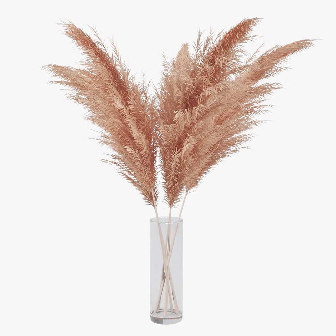 3D pampas grass https://p.turbosquid.com/ts-thumb/rT/w2qJAP/cJzLyxnW/pr_08/jpg/1568391309/1920x1080/fit_q87/03bb19aa08be6f53baaa9682c5ab3344502fa105/pr_08.jpg