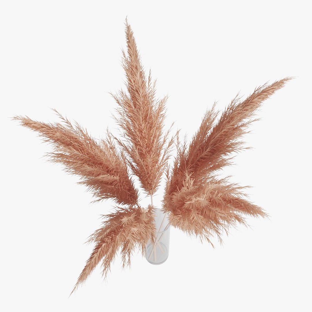 3D pampas grass https://p.turbosquid.com/ts-thumb/rT/w2qJAP/dES52zF6/pr_06/jpg/1568391309/1920x1080/fit_q87/6d6f5026f03eabf0cd32aed53ac0c800d384aad3/pr_06.jpg