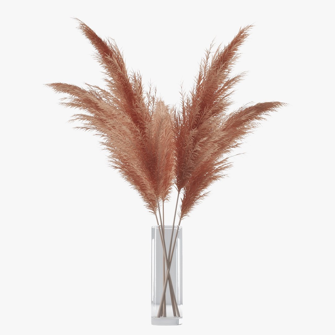 3D pampas grass https://p.turbosquid.com/ts-thumb/rT/w2qJAP/qsLokUON/pr_02/jpg/1568391309/1920x1080/fit_q87/463d230db28af208cb0d322534eff816ea2d5d35/pr_02.jpg