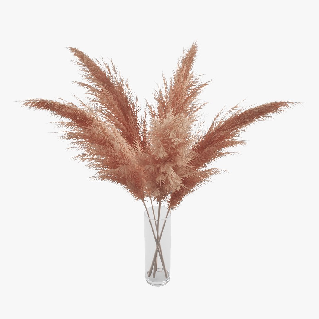 3D pampas grass https://p.turbosquid.com/ts-thumb/rT/w2qJAP/qwr56zi9/pr_03/jpg/1568391309/1920x1080/fit_q87/9a0bb5527084c52d2d57ab8e30d1d9bdf77d6398/pr_03.jpg