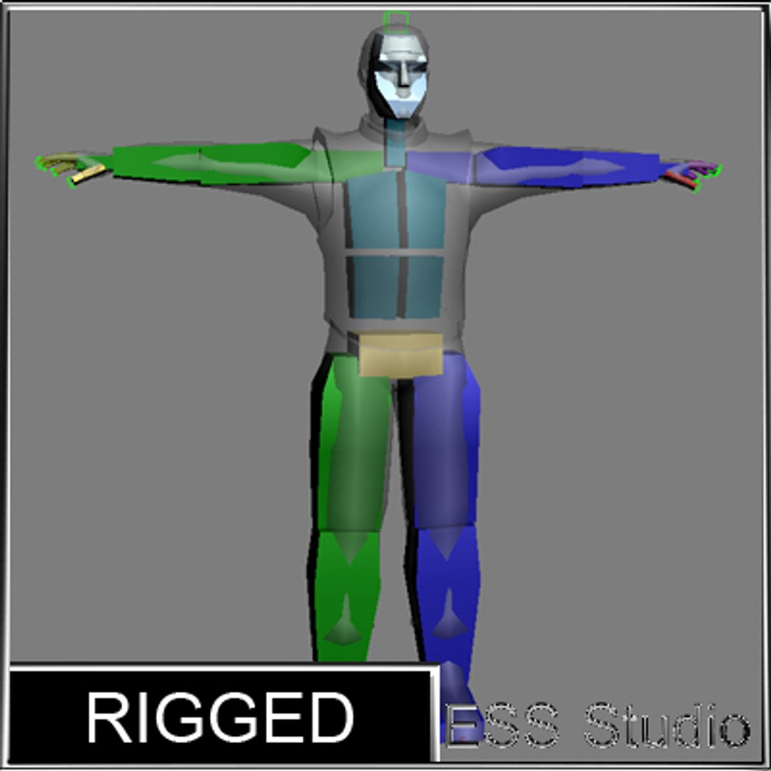 Polygonal Thief Rigged Max