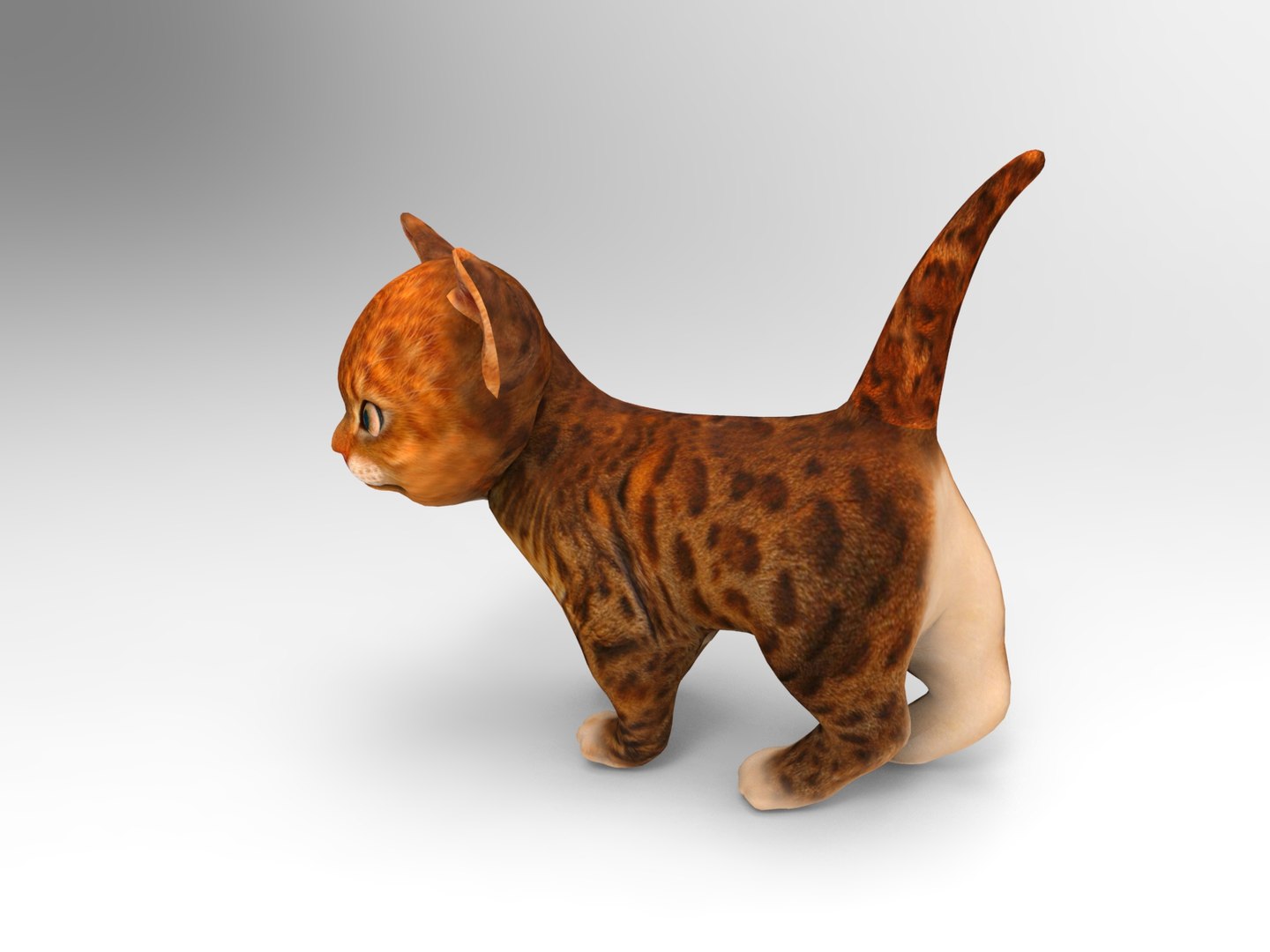 cute cat animation 3D model https://p.turbosquid.com/ts-thumb/rU/4ywwcW/HGqs6tBy/cartton_cat.367/jpg/1509373067/1920x1080/fit_q87/b97df2efeb6e68010752b760055e8897b6bdb6df/cartton_cat.367.jpg