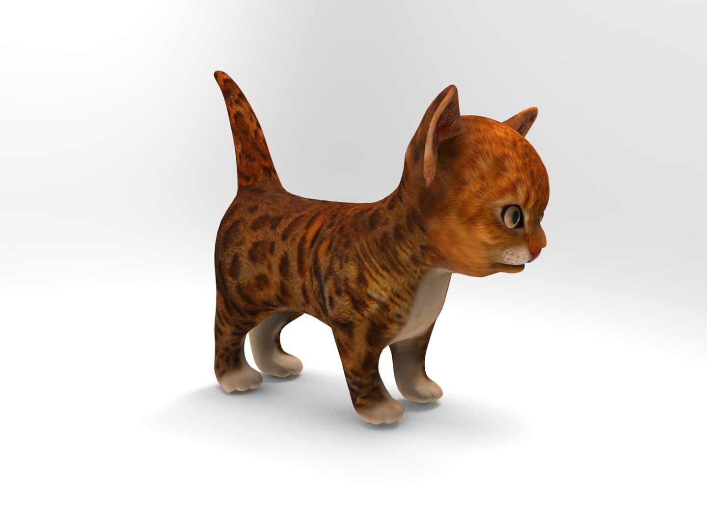 cute cat animation 3D model https://p.turbosquid.com/ts-thumb/rU/4ywwcW/NQ9yd8RQ/cartton_cat.370/jpg/1509373067/1920x1080/fit_q87/0c2018efe795e1816285986bb62ca2425b61354e/cartton_cat.370.jpg